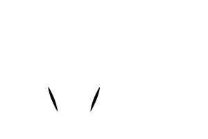 color 1
