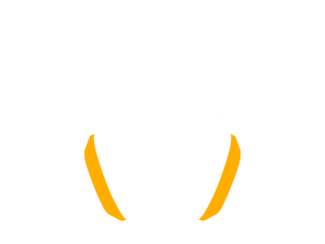 Orange 3