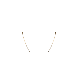 Gold 1