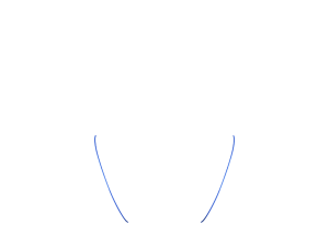 Indigo 1