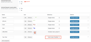 Multiview textfield backend view