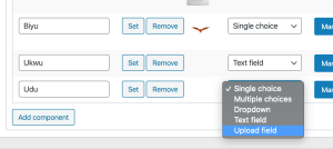 Selection of the Upload field